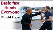 Basic fast hands everyone should know | wing chun