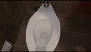 Worlds loudest toilet flush Sound effect of Toilet flushing