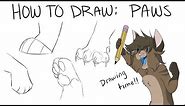 How To Draw Paws