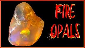 Mexican Fire Opal * In The Rough