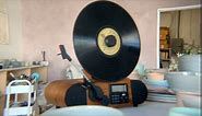 Vert Vertical Vinyl Record Player | FM Radio, Bluetooth, AUX, USB | Alarm Clock | Full Range Speakers | Vintage Mid Century Modern Style | Handcrafted Ashtree Wood