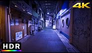 Tokyo Suburbs: Setagaya Night Walk // 4K HDR Spatial Audio