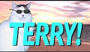 HAPPY BIRTHDAY TERRY! - EPIC CAT Happy Birthday Song