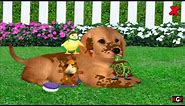 The Wonder Pets Save the Puppy Game The Wonder Pets English game 2015