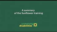 Hidden Disabilities Sunflower summary of sunflower training