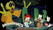 Animaniacs but it's just pranks for 17 minutes | Throwback Thursday @GenerationWB
