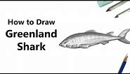 How to Draw a Greenland Shark with Pencils [Time Lapse]