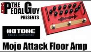 ThePedalGuy Presents the Hotone Mojo Attack Legacy Floor Amplifier