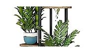 LINZINAR Plant Stand 4 Tier 5 Potted Indoor Plant Shelf Multiple Stands for Garden Corner Balcony Living Room (4 Tier 5 Potted, Black)