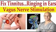 Fix Tinnitus (Ringing in Ears) Major Breakthrough How to Stimulate Vagus Nerve - Dr Alan Mandell, DC