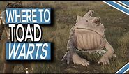 Where To Get Toad Warts In Hogwarts Legacy