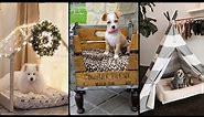 indoor dog room | 20 dog bed decor ideas | dog space ideas | dog nook #dog #animals #pets