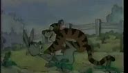 The New Adventures of Winnie The Pooh Tigger (1994) promo 02