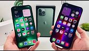 iPhone 13 Pro Max Alpine Green vs Graphite Color Comparison