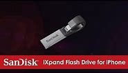 Meet the new iXpand Flash Drive for iPhone