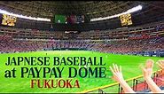 A Japanese Baseball Game at PayPay Dome, Fukuoka