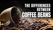 The Secrets Behind Coffee Bean Varieties