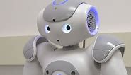 Humanoid robot "Russell" engages children with autism - Science Nation