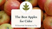 15  best apples for cider
