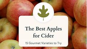 15  best apples for cider