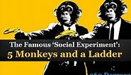 The Famous ‘Social Experiment’: 5 Monkeys and a Ladder