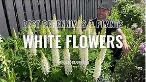 15 White Flowering Perennials & Plants | Perennial Garden