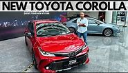 Toyota Corolla GR Sport: The Difference Between The GR and Standard Model!