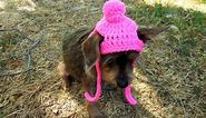 How to Crochet a Small Dog/Cat Beanie
