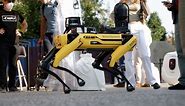 Come funziona Spot, il cane-robot della Boston Dynamics che costa 74mila dollari