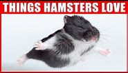 14 Things Hamsters Love the Most