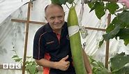 Guinness World Records: The world's longest cucumber