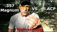 .357 Magnum vs .45 acp (Range Test) - TheFireArmGuy