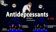 Pharmacology - Antidepressants, Animation
