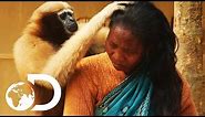 Adorable Ape Shares A Fascinating Relationship With Humans | Wild India