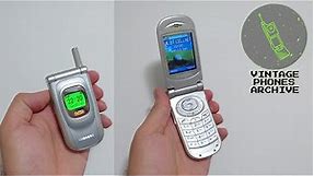 Samsung SGH-T200 Mobile phone menu browse, ringtones, games, wallpapers