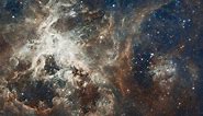 It's all in the shape: Science reveals what makes Milky Way unique