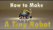 How to Make a Tiny Robot!