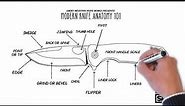 SMKW: Modern Knife Anatomy 101