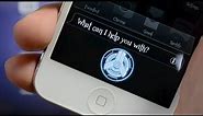 Best iOS 6 Winterboard Themes - Neurotech Siri For iPhone 5/4S, iPod Touch 5G, iPad Mini & iPad 3/4