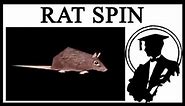 What's Up With The Spinning Rat?