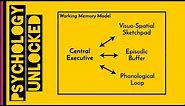 Working Memory | Baddeley & Hitch 1974 | Memory | Cognitive Psychology