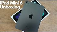iPad Mini 6 & iPad Mini Smart Folio Unboxing