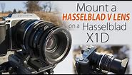 Mount Hasselblad V-mount Lenses on your Hasselblad X1D! - Hassy V to X1D Lens Adapter