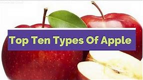 TOP 10 apples from 7,500 varieties of in the world