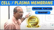 Cell or Plasma Membrane | Structure , Function & Transport🧬