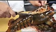 Lobster's Claws Strength After Being Banded for 2-3 Weeks - (GRAPHIC)