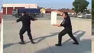 Aikido – Police Training
