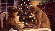 Three Pets White Christmas Famous Song--Christmas Ecard