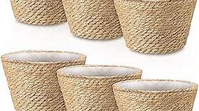 Set of 6 Large Seagrass Planter Basket Indoor 10.2" Plant Pots Rattan Woven Planter Flower Pots Cover with Waterproof Plastic Liners Seagrass Baskets for Outdoor Indoor Decor (Natural Color)