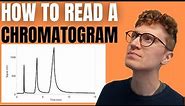 HOW TO READ A CHROMATOGRAM (Step-By-Step Guide For Beginners)